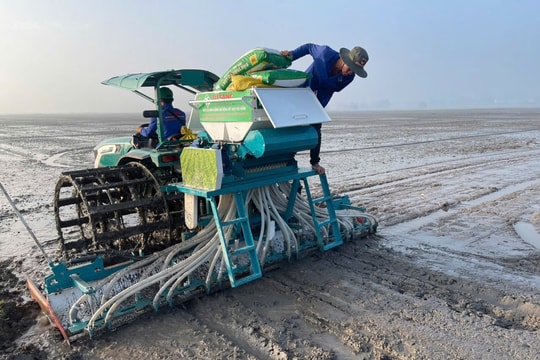 Lợi ích của phân bón cải tạo đất