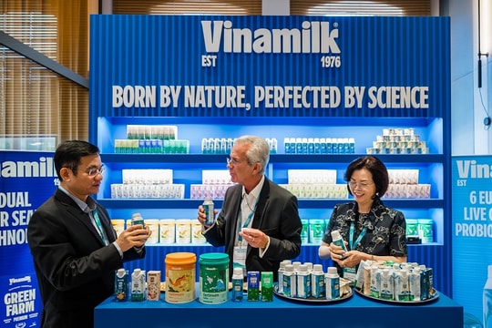 Quý 2/2025, Vinamilk ghi nhận doanh thu 16.745 tỷ đồng, cao nhất từ trước đến nay