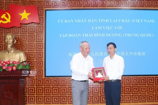 Tập đoàn Xây dựng Thái Bình Dương tìm hiểu cơ hội hợp tác đầu tư tại Lai Châu