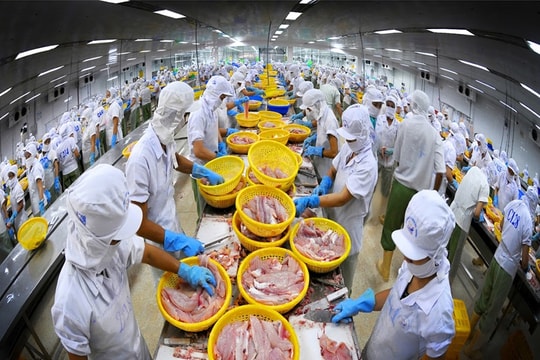 Cuối năm gian nan, thủy sản tìm hướng đi mới