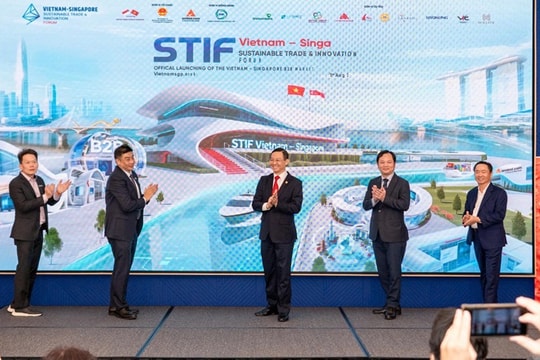 Đẩy mạnh thương mại bền vững và đổi mới sáng tạo Việt Nam - Singapore