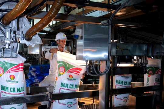 PVCFC kết quả bứt phá – Sức khoẻ tài chính mạnh mẽ