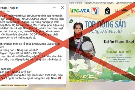 Đại sứ nông sản không dành cho người nổi tiếng nhờ thị phi