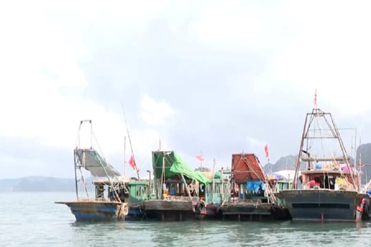Quảng Ninh: Nỗ lực phòng chống khai thác IUU