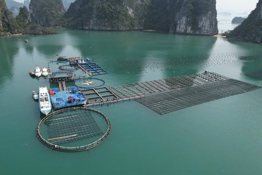 Tập trung nguồn lực cho khoa học công nghệ, thúc đẩy phát triển bền vững