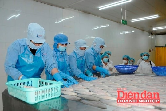 7 nhóm kiến nghị gỡ "điểm nghẽn" cho doanh nghiệp ngành thủy sản