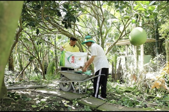 PVCFC (DCM) tăng trưởng bền vững nhờ chiến lược M&A KVF