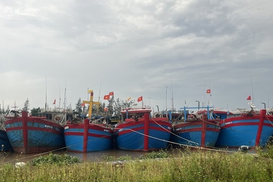 Ninh Bình quyết tâm chống khai thác IUU