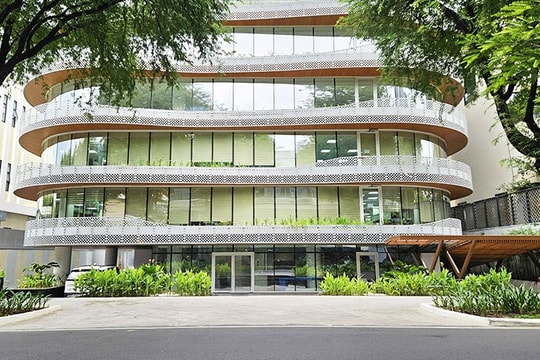 Cổ phiếu bị cảnh báo, FDC khắc phục ra sao?