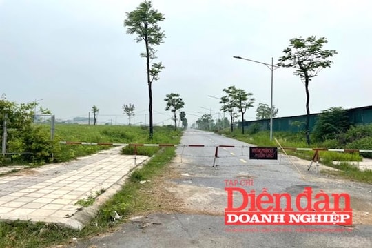 Minh bạch dữ liệu để phát huy hiệu quả định giá đất