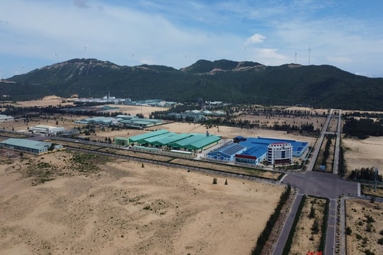 Gia Lai chủ động thu hút các dự án FDI quy mô lớn