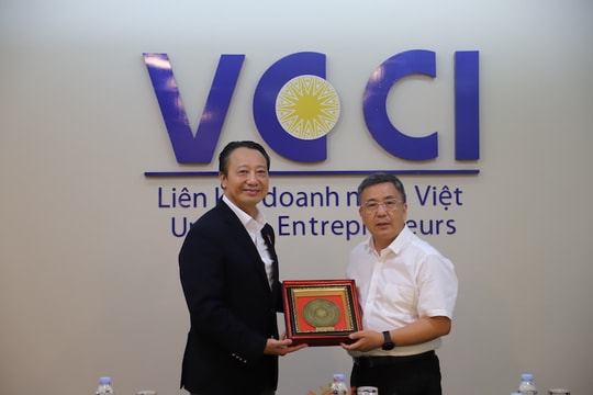 Doanh nghiệp Việt Nam và tỉnh Quý Châu thúc đẩy hợp tác thương mại và đầu tư