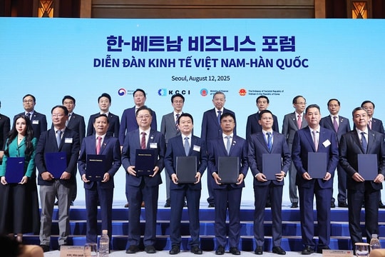 KN Holdings hợp tác Samsung C&T phát triển 864 MW điện mặt trời nổi