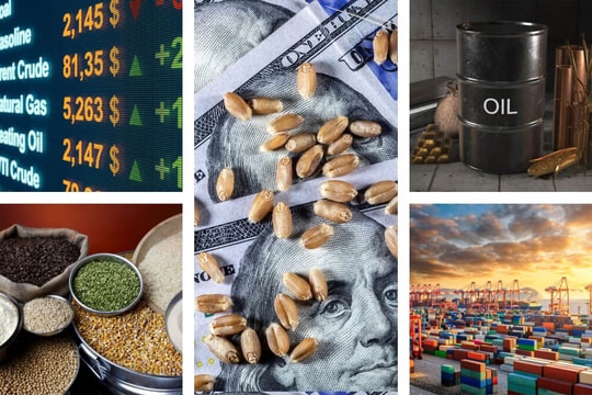 Hoàn thiện pháp lý để thúc đẩy hoạt động mua bán qua Sở giao dịch hàng hoá