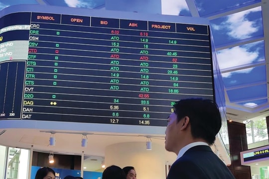 Dự báo doanh nghiệp niêm yết Top 80 tăng trưởng lợi nhuận 20,1% năm 2025