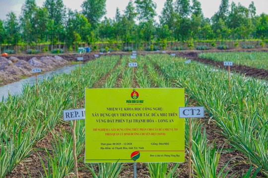 R&D PVCFC chiến lược phát triển lõi, bệ phóng tăng trưởng dài hạn của DCM