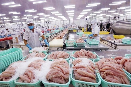 Hướng đi nào cho xuất khẩu thủy sản?