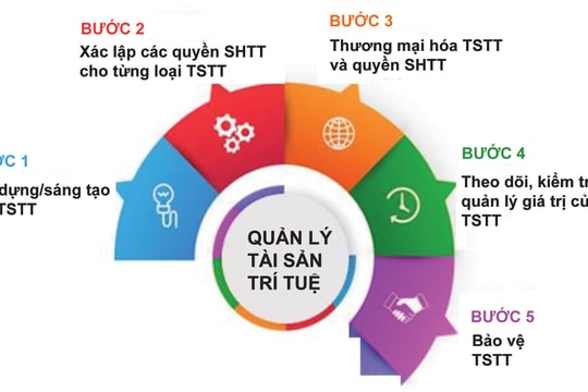 Hoàn thiện chính sách tài sản trí tuệ: “Lá chắn” bảo vệ doanh nghiệp Việt trên thị trường toàn cầu