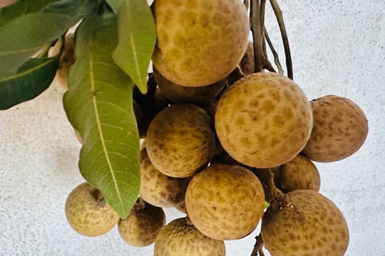 Hưng Yên: Tăng cường xúc tiến thương mại nông sản năm 2025