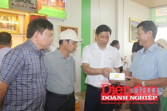 Kết nối từ trải nghiệm thực tiễn: Doanh nghiệp Thanh Hóa và Quảng Trị mở rộng hợp tác