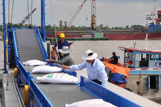 Gạo Việt Nam: Từ “xuất khẩu nhiều” đến “xuất khẩu có giá trị”