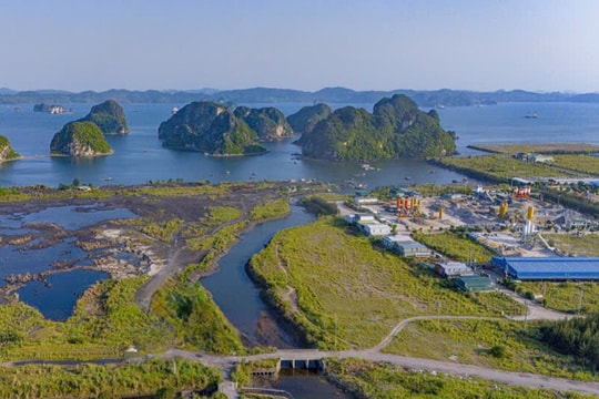 Tháo gỡ khó khăn cho dự án Nhà máy điện khí LNG Quảng Ninh