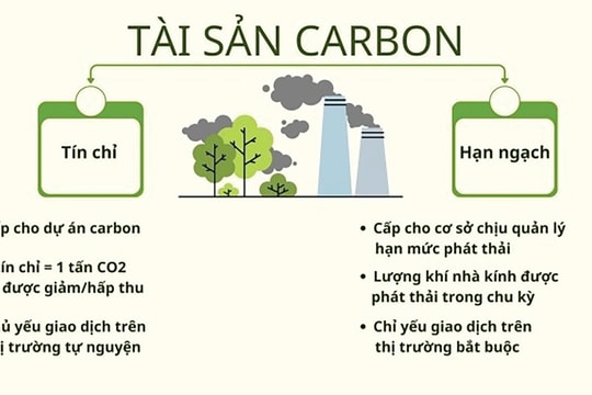 “Kích hoạt” thị trường tín chỉ carbon