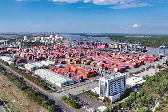 Khu vực Bà Rịa - Vũng Tàu (TP HCM): Hệ sinh thái cảng biển hàng đầu Việt Nam