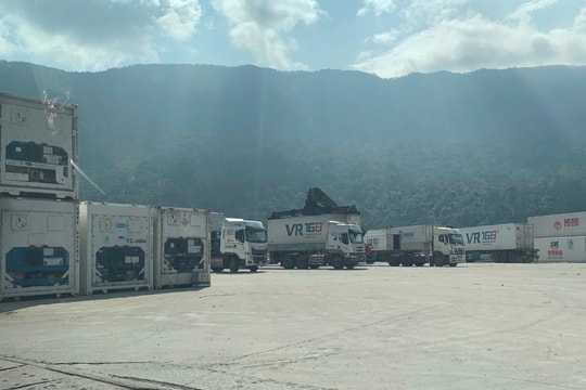 Quảng Trị nghiên cứu áp dụng mô hình thương mại mới