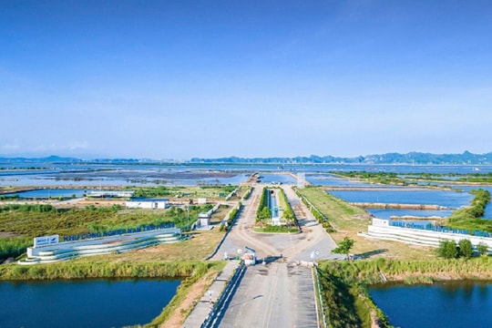 Tiếp sức để kinh tế tư nhân cất cánh