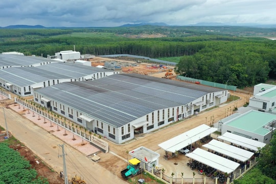 Khánh thành Nhà máy chế biến Nông sản và Dược liệu Sao Mai: Vươn tầm nông sản Việt