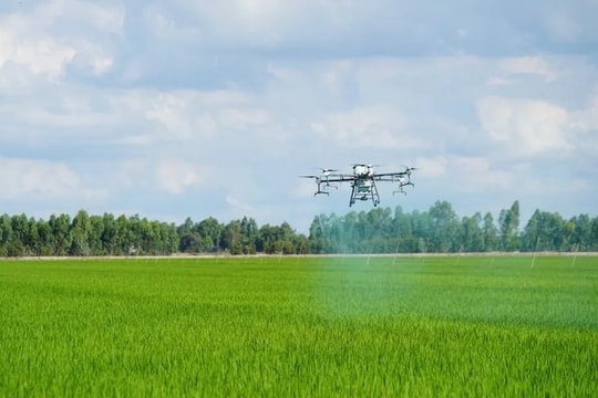 Để "hàng không tầm thấp" - kết nối tầm cao