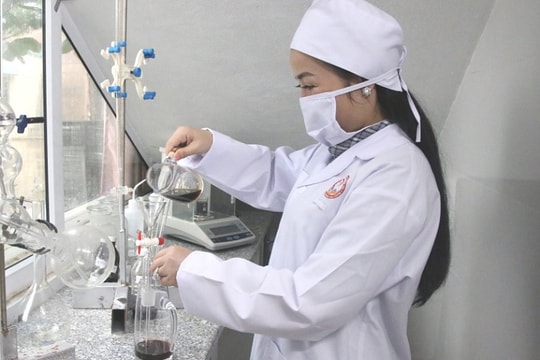 Doanh nghiệp Quảng Ninh vững bước trên đường đổi mới sáng tạo