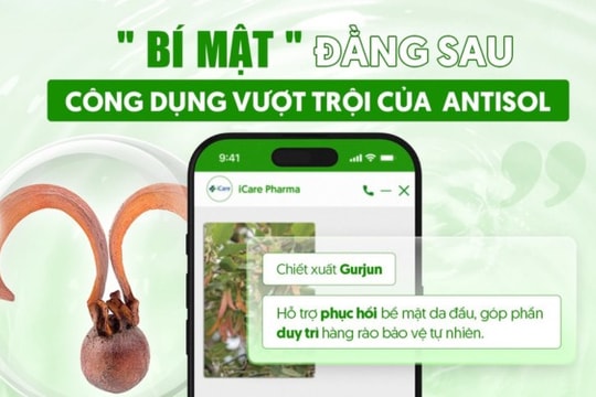 Giải mã sức hút của dầu gội sạch gàu Antisol – Lựa chọn xanh cho mái tóc Việt