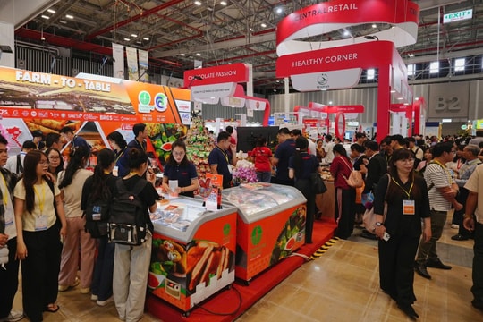 LC Foods – Từ cá basa, cá tra nguyên liệu đến sản phẩm chế biến giá trị gia tăng