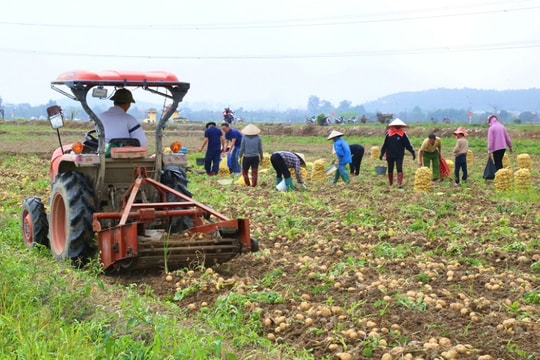 Quảng Ninh đột phá nông nghiệp nhờ cơ giới hóa và chuyển đổi số
