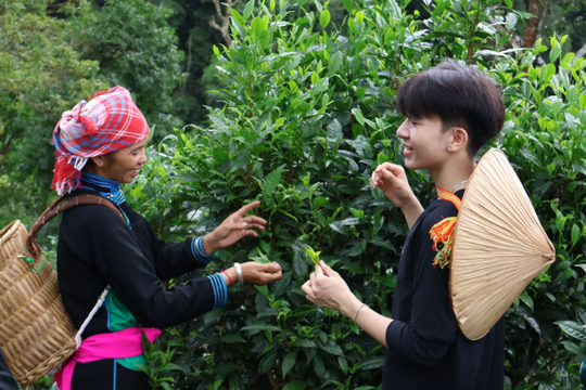 Du lịch Bản Liền: Một ngày làm nông cùng đồng bào người Tày