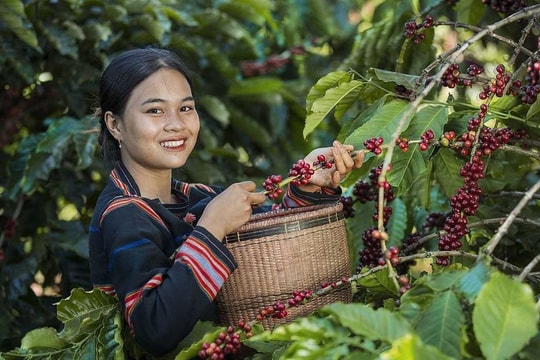 “Chất liệu đặc biệt” xây dựng thương hiệu xuất khẩu quốc tế