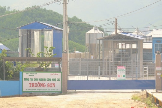 Doanh nghiệp chăn nuôi tại Đà Nẵng bị tố xả thải gây ô nhiễm: Địa phương nói gì?