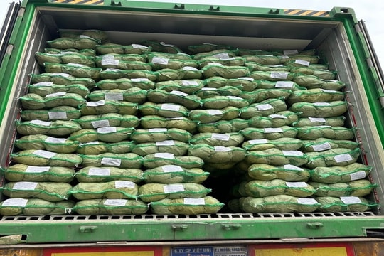 Hải Phòng: Đồng hành tháo gỡ khó khăn cho doanh nghiệp chế biến nông sản