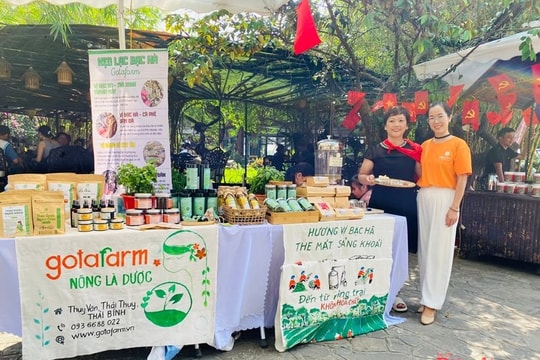 Khởi nghiệp từ cây dược liệu: Nữ giám đốc biến đất hoang thành "đất vàng"