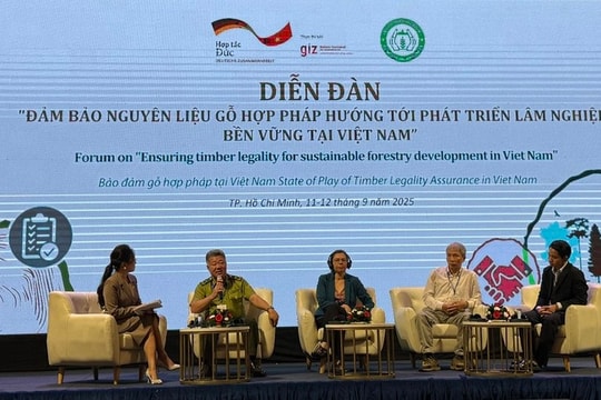 Ngành gỗ đang giữ vai trò quan trọng trong nền kinh tế