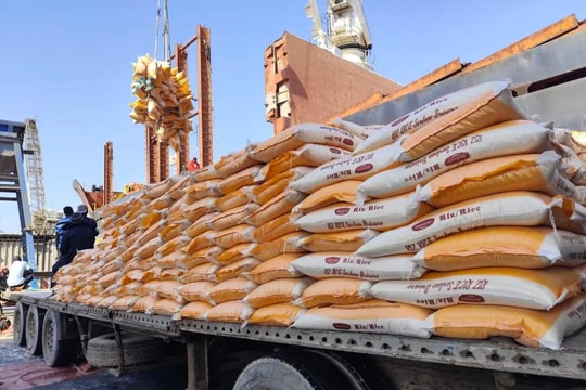 Cơ hội cho gạo Việt vào thị trường châu Phi