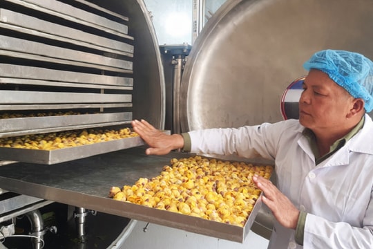 Khoa học công nghệ đưa sản phẩm OCOP Quảng Ninh vươn ra thế giới