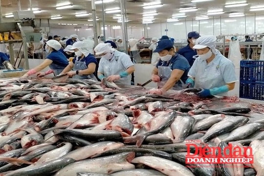 Thủy sản Việt Nam lao đao trước lệnh cấm nhập khẩu từ Mỹ