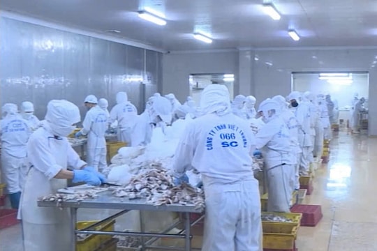 Đột phá ngành thủy sản xuất khẩu nhờ khoa học công nghệ