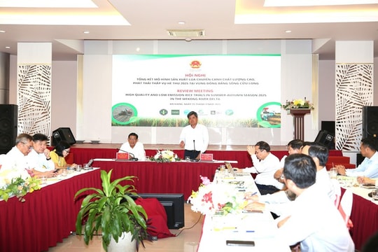 Thay đổi tư duy, nâng cao giá trị hạt gạo Việt