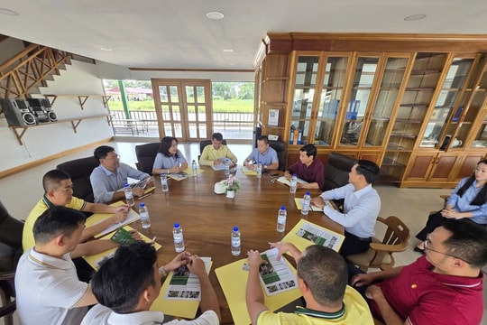 PVCFC tăng tốc mở rộng thị phần tại Campuchia, đồng hành cùng nông dân nâng giá trị hạt gạo