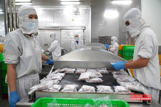 Khánh Hòa phấn đấu tăng trưởng 8,1% trong năm 2025