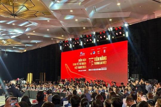 Chiến lược để doanh nghiệp Việt bứt phá